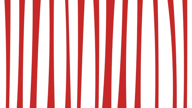 Cotton Rose zebra print background — free HD cotton rose color wallpaper 1920x1080