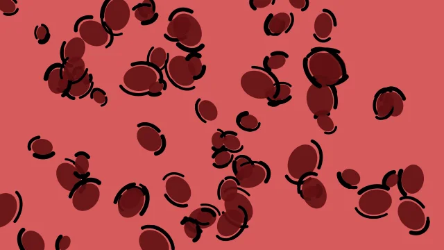 Crushed Berry leopard print background — free HD crushed berry color wallpaper 1920x1080