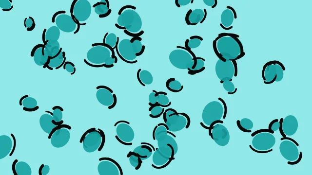 Cyan 500 leopard desktop wallpaper — free 4K cyan 500 wallpaper 3840x2160