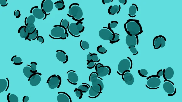 Cyan 600 leopard desktop wallpaper — free 4K cyan 600 wallpaper 3840x2160