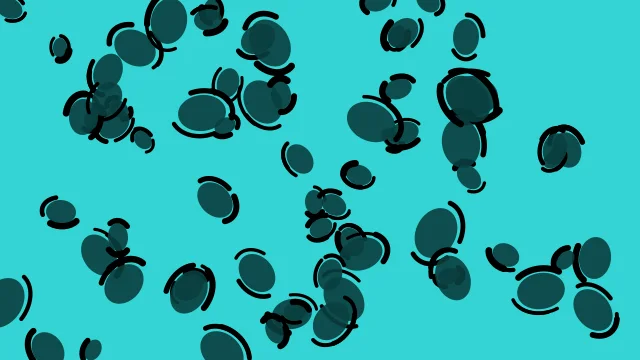 Cyan 700 leopard desktop wallpaper — free 4K cyan 700 wallpaper 3840x2160