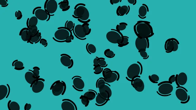 Cyan 800 leopard desktop wallpaper — free 4K cyan 800 wallpaper 3840x2160