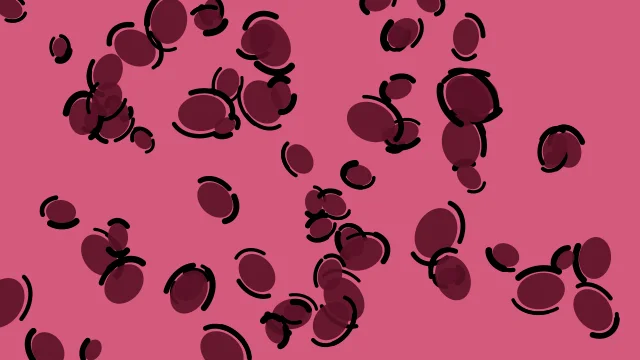 Dark Amaranth leopard print background — free HD dark amaranth color wallpaper 1920x1080