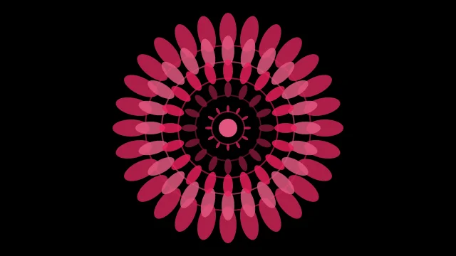 Dark Amaranth mandala background — free HD dark amaranth color wallpaper 1920x1080