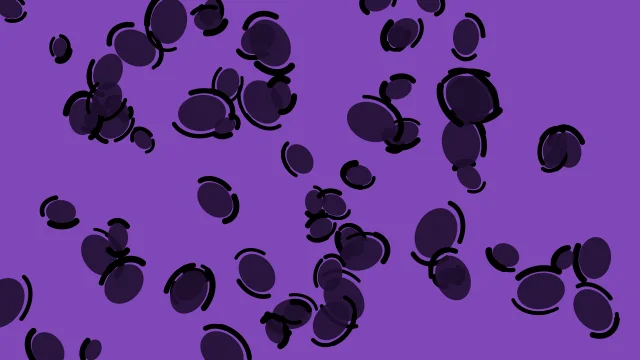 Dark Amethyst leopard print background — free HD dark amethyst color wallpaper 1920x1080