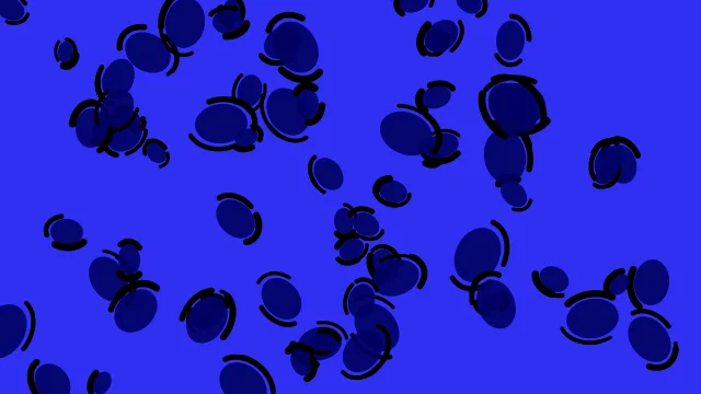 Dark Blue leopard desktop wallpaper — free 4K dark blue wallpaper 3840x2160