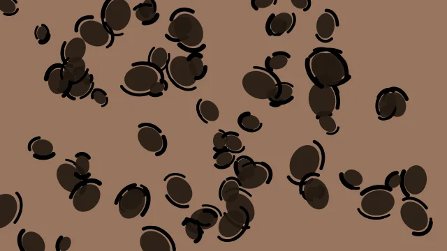 Dark Coffee leopard print background — free HD dark coffee color wallpaper 1920x1080