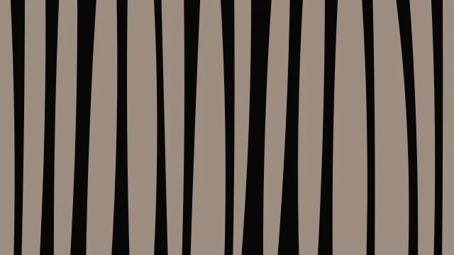 Dark Coffee zebra print background — free HD dark coffee color wallpaper 1920x1080