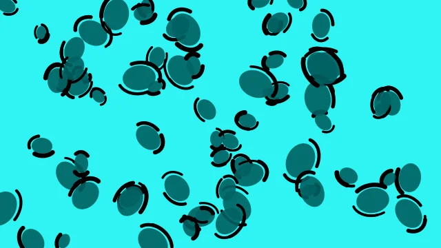 Dark Cyan leopard desktop wallpaper — free 4K dark cyan wallpaper 3840x2160
