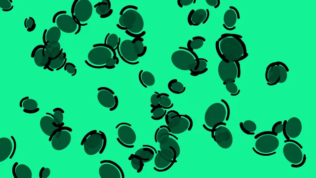 Dark Emerald leopard print background — free HD dark emerald color wallpaper 1920x1080