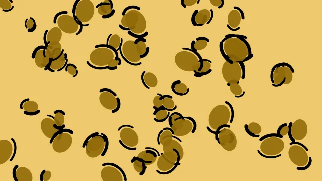 Dark Golden Rod leopard print background — free HD dark golden rod color wallpaper 1920x1080