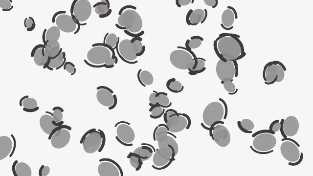 Dark Gray leopard print background — free HD dark gray color wallpaper 1920x1080