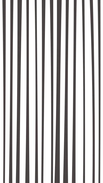 Dark Gray zebra phone wallpaper — free HD dark gray mobile wallpaper 1080x1920