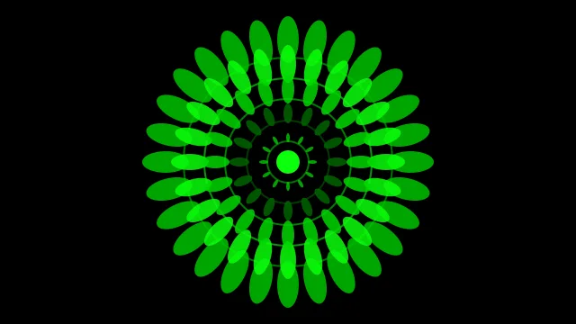 Dark Green mandala background — free HD dark green color wallpaper 1920x1080