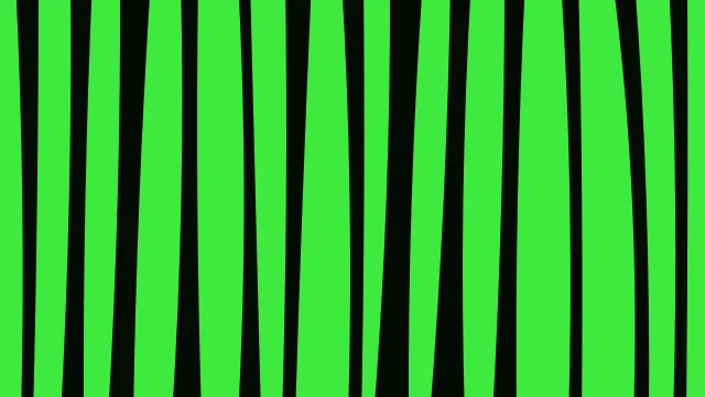 Dark Green zebra print background — free HD dark green color wallpaper 1920x1080