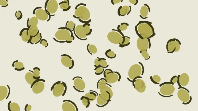 Dark Khaki leopard desktop wallpaper — free 4K dark khaki wallpaper 3840x2160