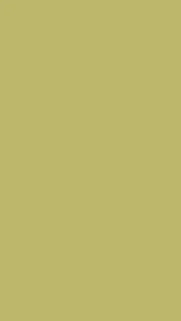 Dark Khaki solid phone wallpaper — free HD dark khaki mobile wallpaper 1080x1920