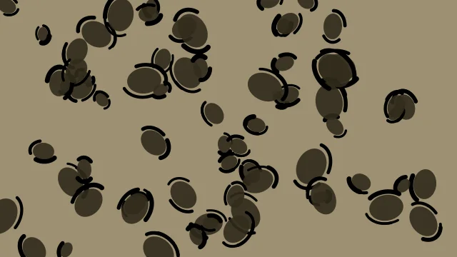 Dark Khaki Wood leopard print background — free HD dark khaki wood color wallpaper 1920x1080