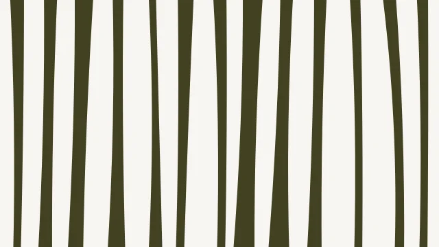 Dark Khaki zebra desktop wallpaper — free 4K dark khaki wallpaper 3840x2160