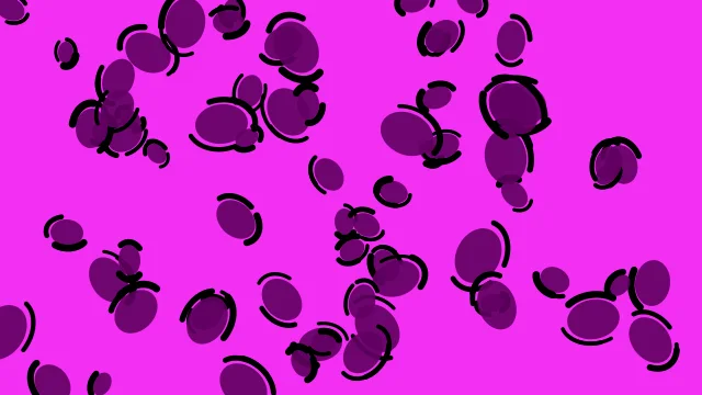 Dark Magenta leopard desktop wallpaper — free 4K dark magenta wallpaper 3840x2160