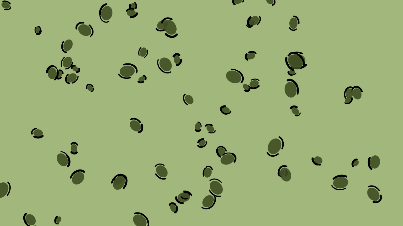 Dark Olive Green leopard print background — free HD dark olive green color wallpaper 1920x1080