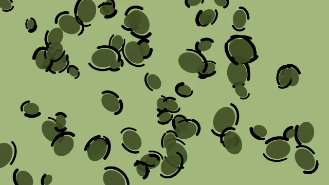 Dark Olive Green leopard print background — free HD dark olive green color wallpaper 1920x1080