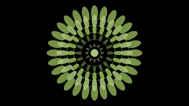 Dark Olive Green mandala background — free HD dark olive green color wallpaper 1920x1080