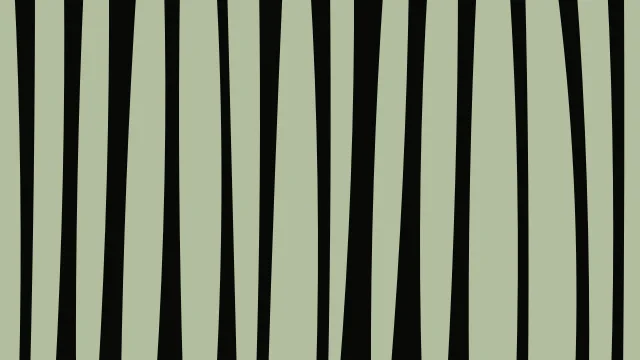 Dark Olive Green zebra print background — free HD dark olive green color wallpaper 1920x1080