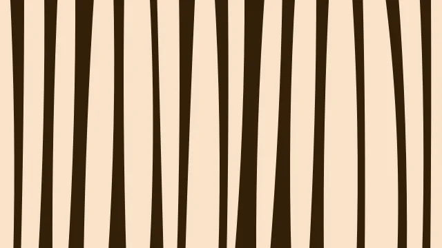 Dark Orange zebra print background — free HD dark orange color wallpaper 1920x1080