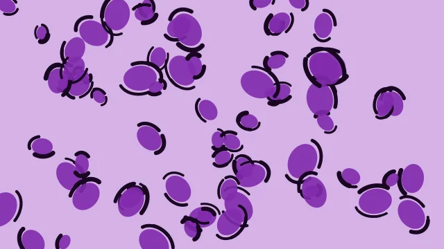 Dark Orchid leopard desktop wallpaper — free 4K dark orchid wallpaper 3840x2160