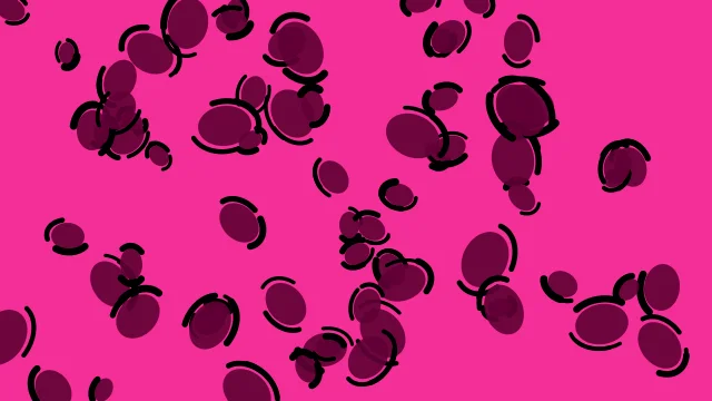 Dark Raspberry leopard desktop wallpaper — free 4K dark raspberry wallpaper 3840x2160