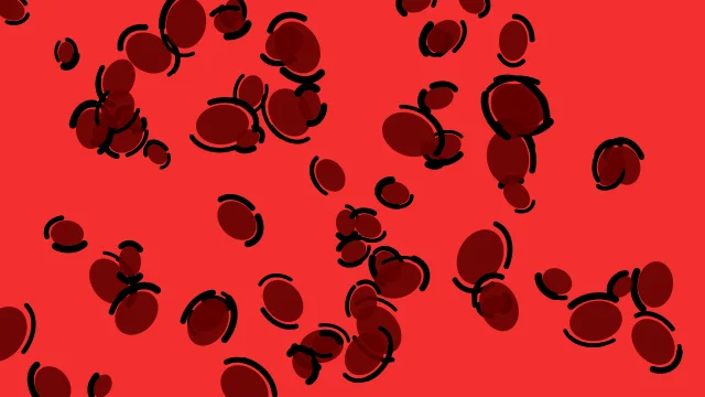 Dark Red leopard print background — free HD dark red color wallpaper 1920x1080