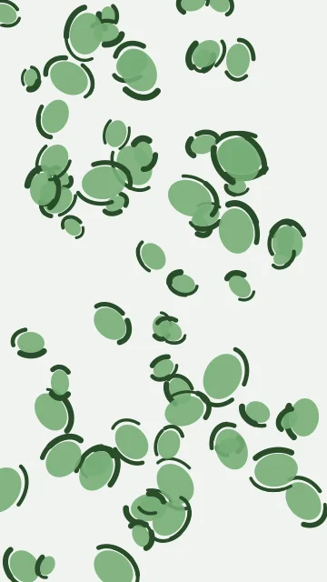 Dark Sea Green leopard phone wallpaper — free HD dark sea green mobile wallpaper 1080x1920