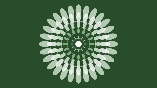 Dark Sea Green mandala background — free HD dark sea green color wallpaper 1920x1080