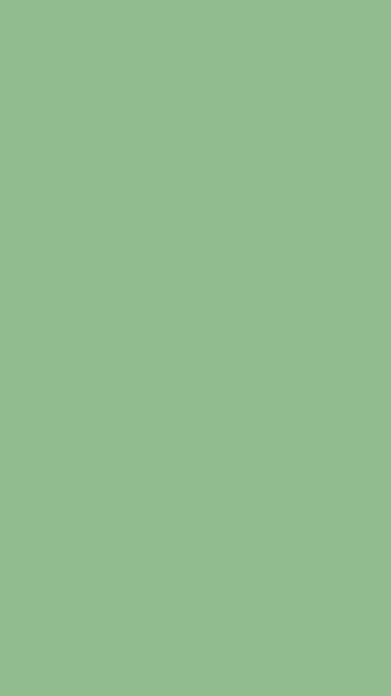 Dark Sea Green solid phone wallpaper — free HD dark sea green mobile wallpaper 1080x1920
