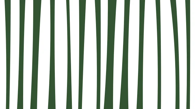 Dark Sea Green zebra print background — free HD dark sea green color wallpaper 1920x1080