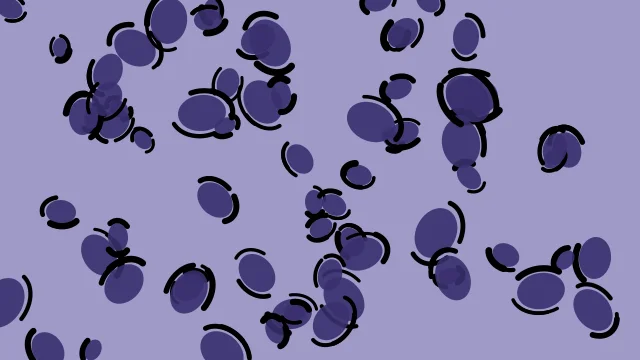 Dark Slate Blue leopard print background — free HD dark slate blue color wallpaper 1920x1080