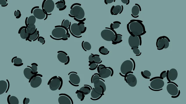 Dark Slate Gray leopard desktop wallpaper — free 4K dark slate gray wallpaper 3840x2160