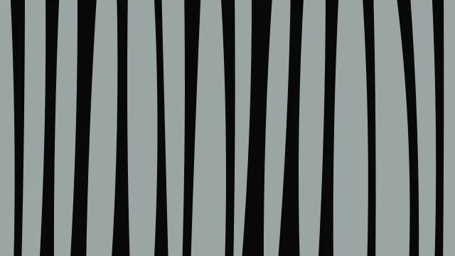Dark Slate Gray zebra desktop wallpaper — free 4K dark slate gray wallpaper 3840x2160