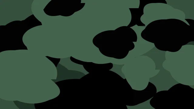Dark Spruce camo background — free HD dark spruce color wallpaper 1920x1080