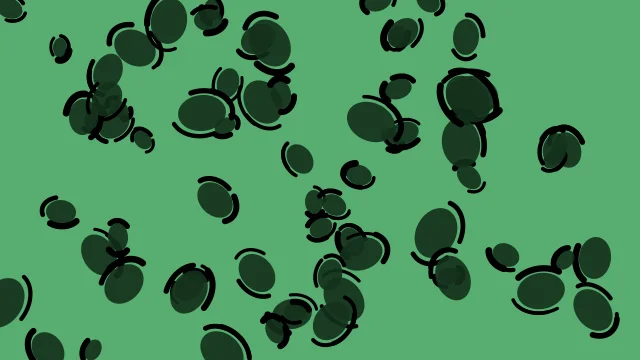 Dark Spruce leopard print background — free HD dark spruce color wallpaper 1920x1080