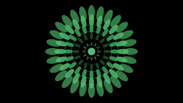 Dark Spruce mandala background — free HD dark spruce color wallpaper 1920x1080