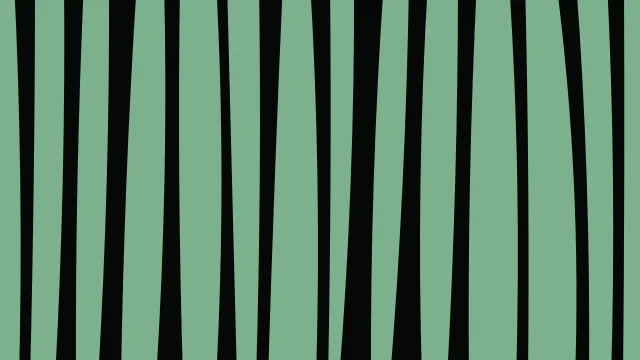 Dark Spruce zebra print background — free HD dark spruce color wallpaper 1920x1080