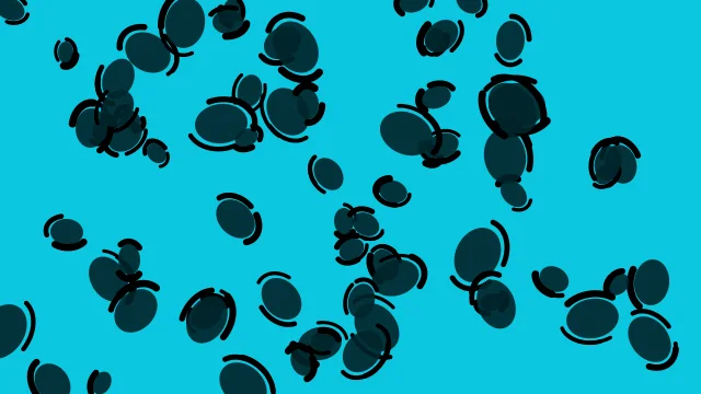 Dark Teal leopard desktop wallpaper — free 4K dark teal wallpaper 3840x2160