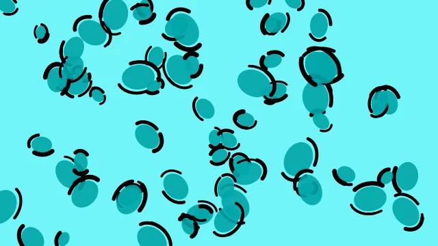 Dark Turquoise leopard desktop wallpaper — free 4K dark turquoise wallpaper 3840x2160
