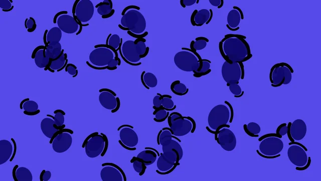 Dark Ultramarine leopard print background — free HD dark ultramarine color wallpaper 1920x1080