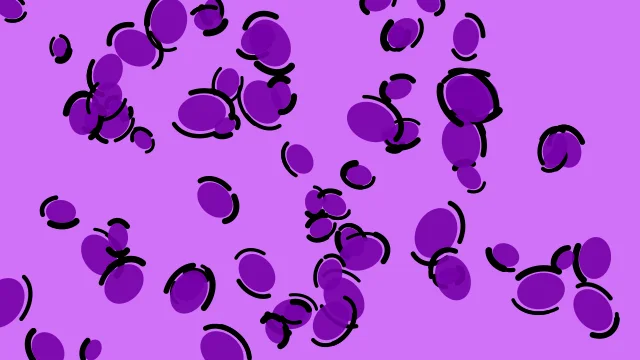 Dark Violet leopard print background — free HD dark violet color wallpaper 1920x1080