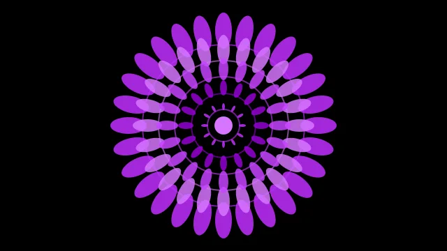 Dark Violet mandala background — free HD dark violet color wallpaper 1920x1080
