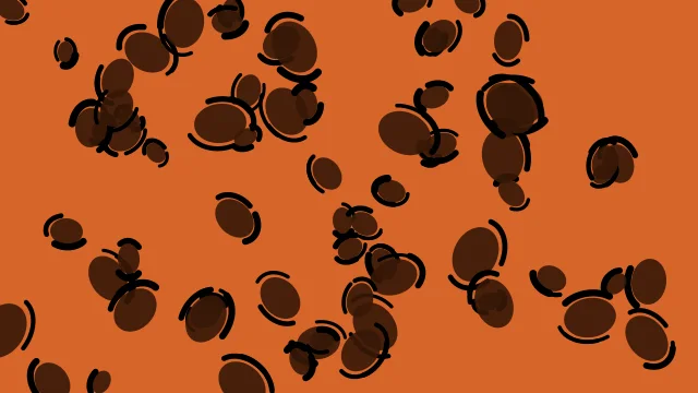 Dark Walnut leopard print background — free HD dark walnut color wallpaper 1920x1080