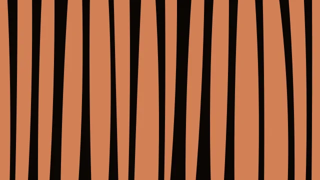 Dark Walnut zebra print background — free HD dark walnut color wallpaper 1920x1080
